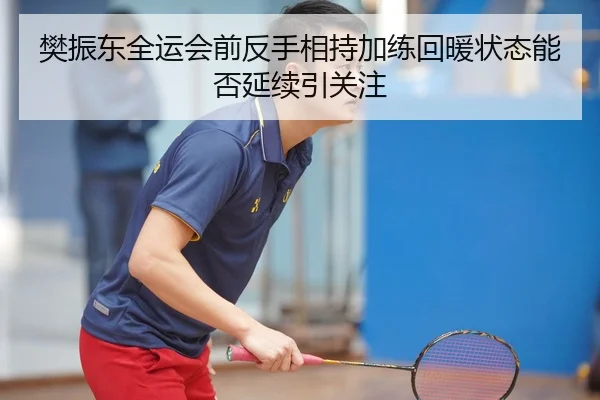 樊振东全运会前反手相持加练回暖状态能否延续引关注